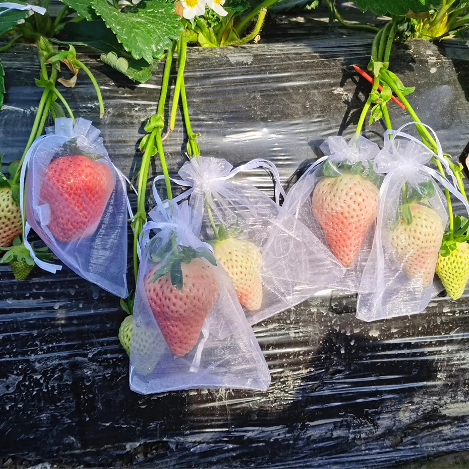 6x8 Inch 100 Pieces Organza Fruit Netting Bags - Fruit Protection Bags with Drawstring, Garden Plant Net Barrier Bag for Tomatoes, Grapes, Mangoes