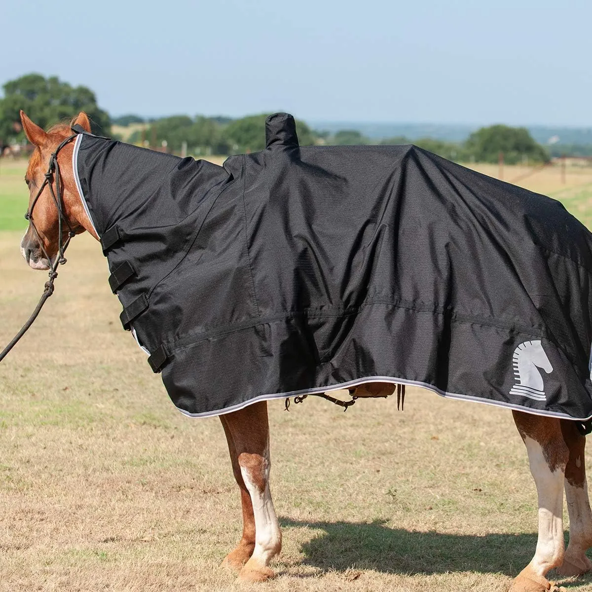 Classic Equine Horse and Saddle Cover Black