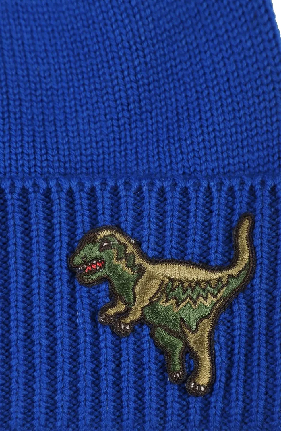 Coach Men's Rexy Patch Beanie