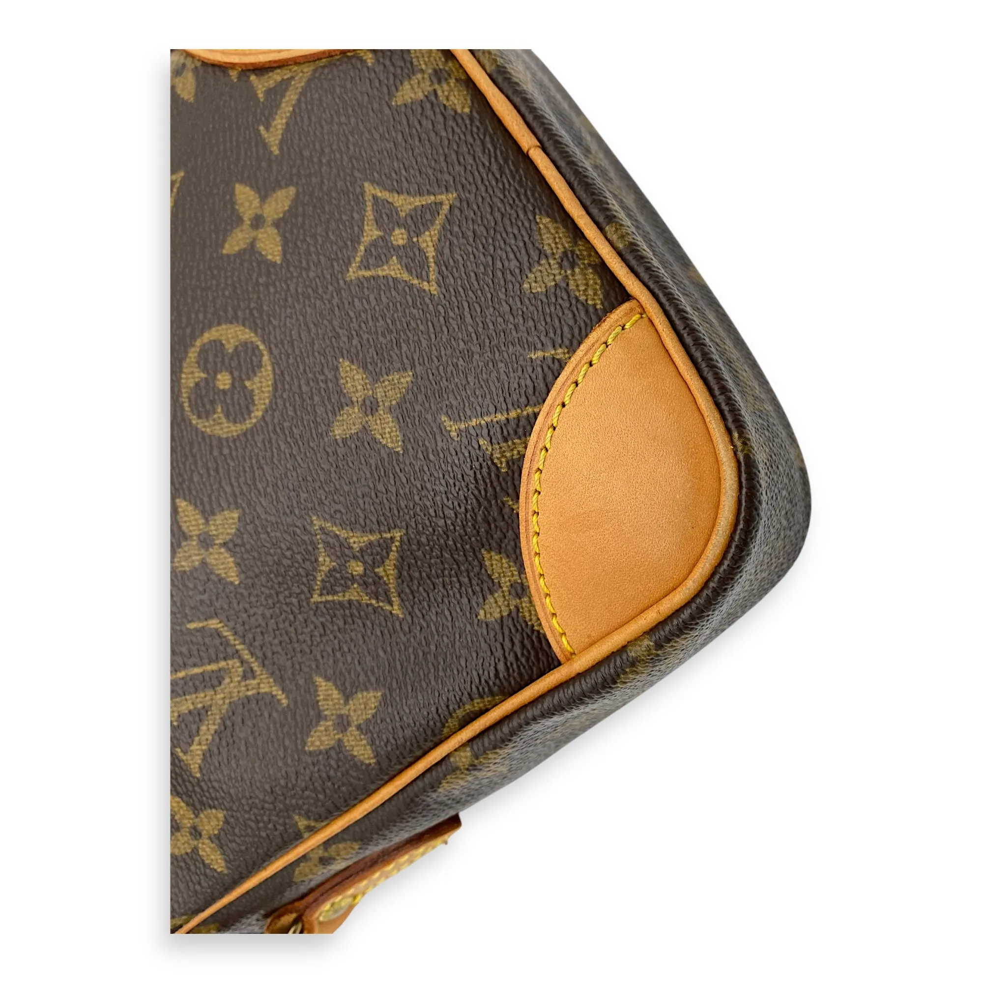 Danube Brown Crossbody Bag in Monogram Coated Canvas, Gold hardware