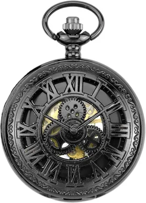 Ddjbdb Mens Pocket Watch Hollow Roman Numerals Gear Skeleton Hand Wind Mechanical Pocket Watches with Gift Box for Him Husband Son Dad Father