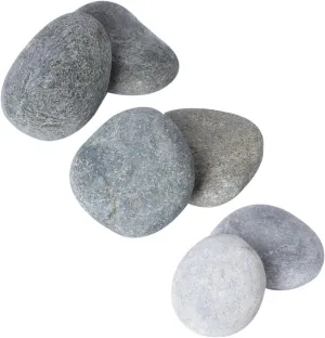 FOYTOKI 6Pcs Painted Stones Kit for Creative Cartoon Pebbles Ready to Paint Craft for Arts and Crafts Fun Outdoor Decoration for Gardens and Pathways