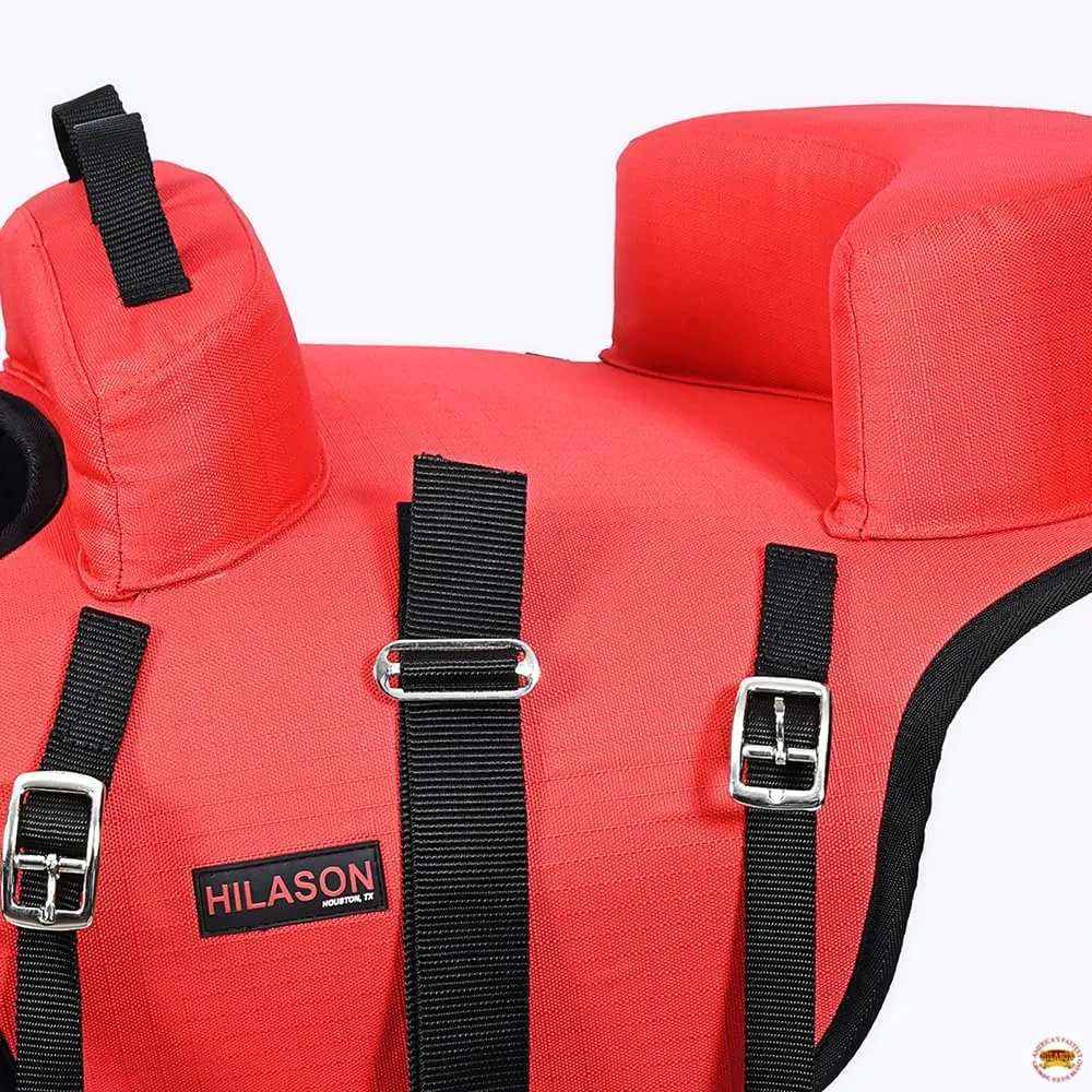 HILASON Western Horse Saddle Buddy Seat for Kids | Compatible with Horses | Children Horse Saddle | Junior Equestrian Saddle