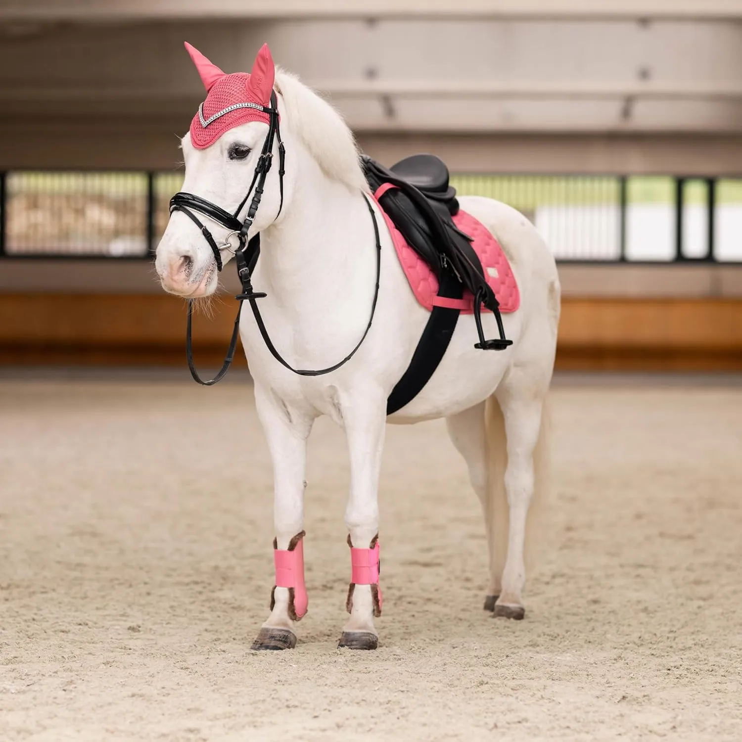 HORZE Rising Star Pony Saddle Pad
