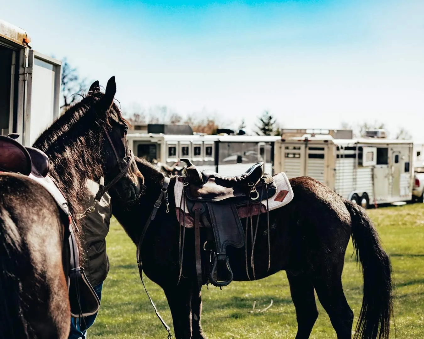 Impact Gel Contour Saddle Pad with Vintage Floral Leather