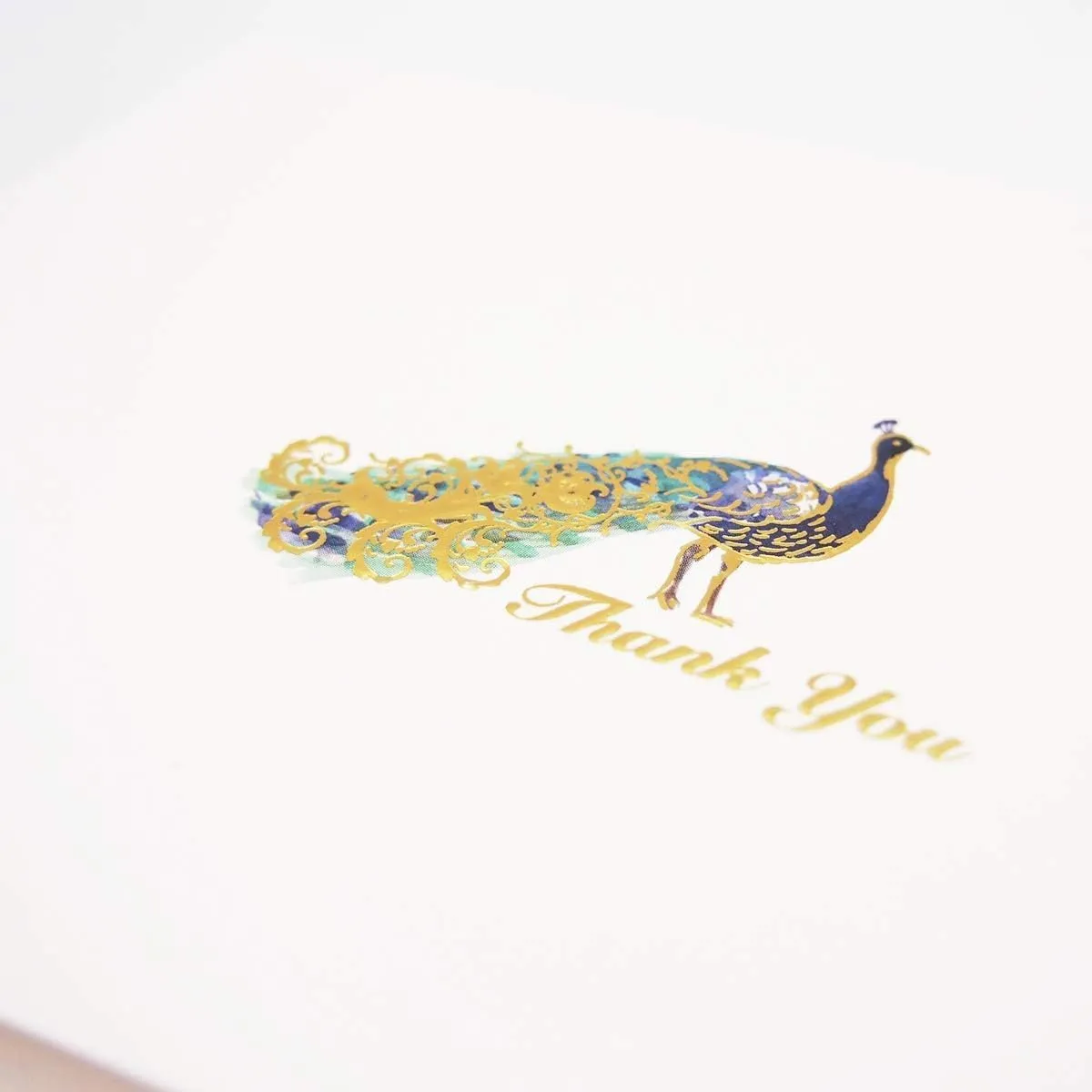 Punch Studio Embellished Thank You/Note Cards and Envelopes, Peacock (44632)