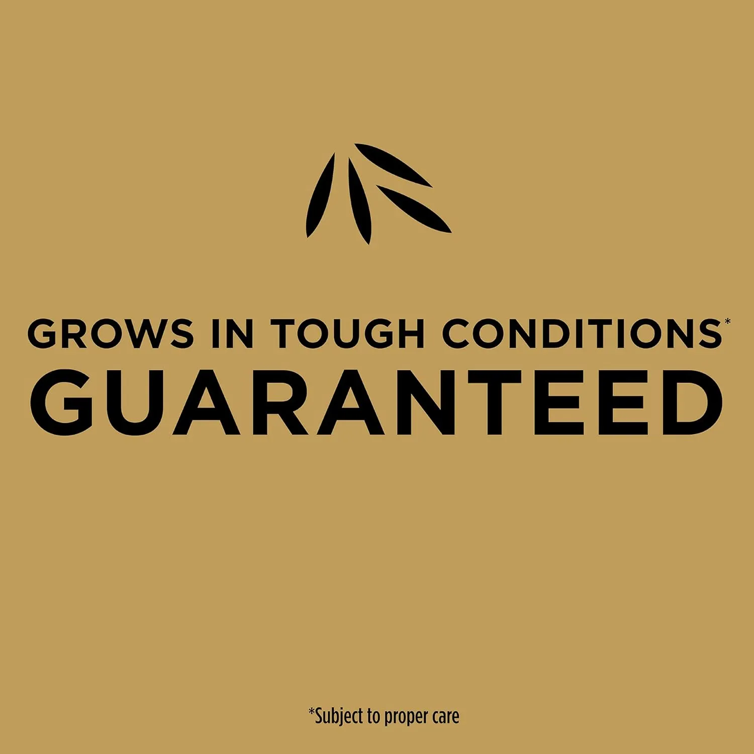 Scotts EZ Seed Patch & Repair Bermudagrass Combination Mulch, Bermudagrass Seed and Fertilizer for Bare Spots and Repair, Grows in Scorching Heat, 20 lb.