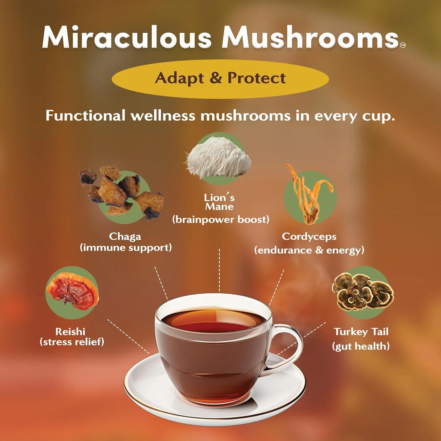 Teeccino Miraculous Mushrooms Adapt & Protect Herbal Tea By Teeccino, 25 Tea Bags - Five Organic Adaptogenic Mushrooms with Chicory & Cacao, 3x More Herbs than Regular Tea Bags, Caffeine Free, Prebiotic