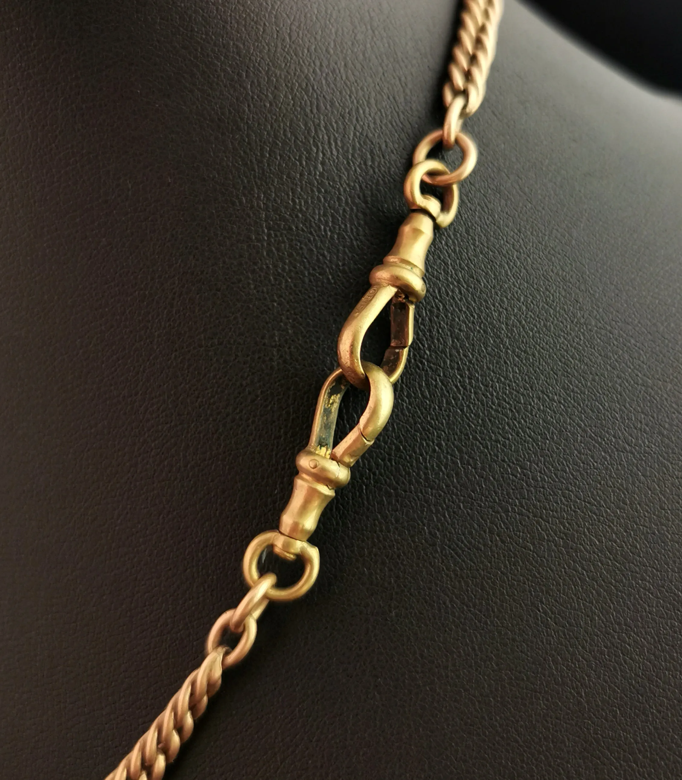Victorian Agate snake pendant, Pinchbeck Albert chain, necklace