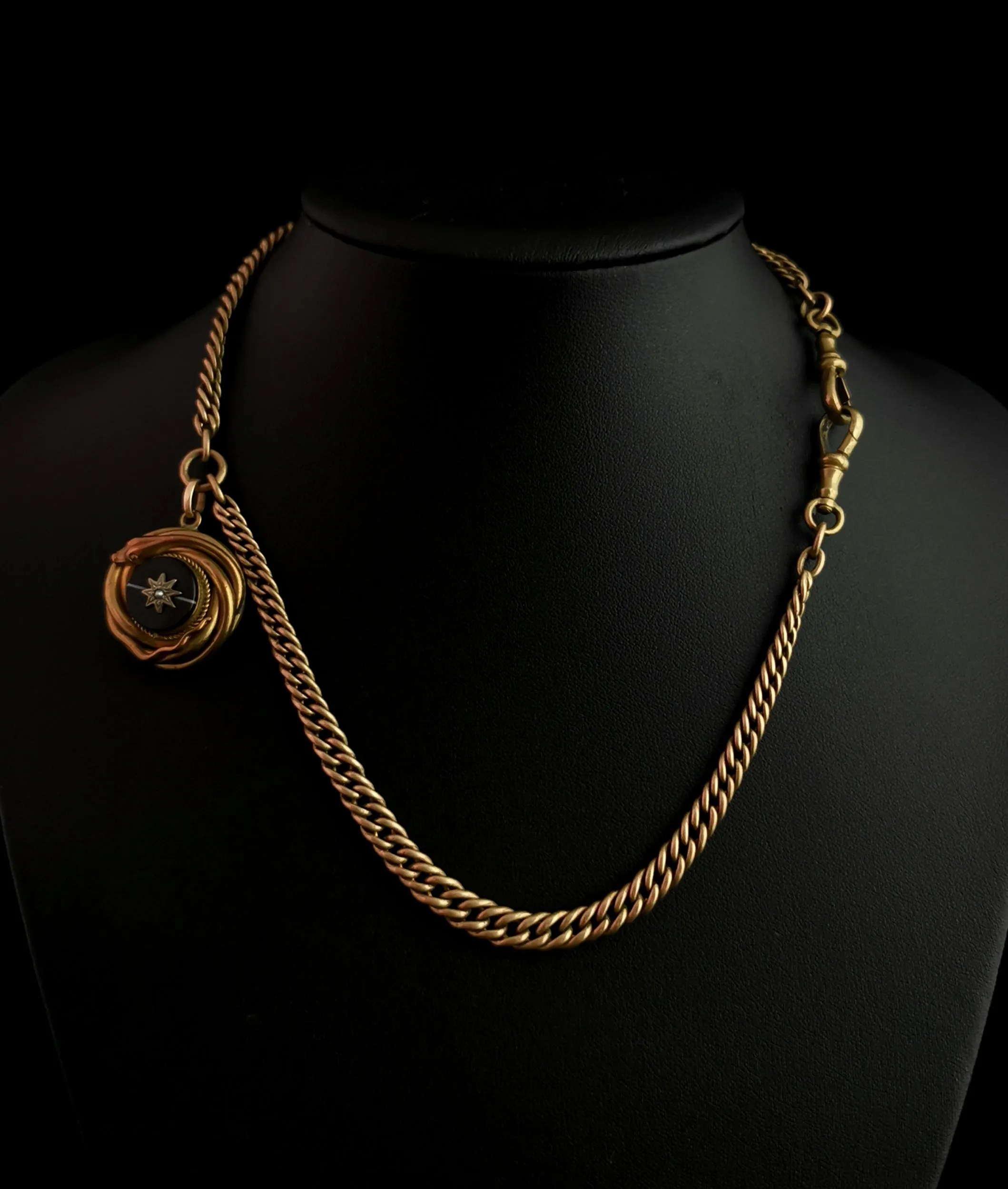 Victorian Agate snake pendant, Pinchbeck Albert chain, necklace