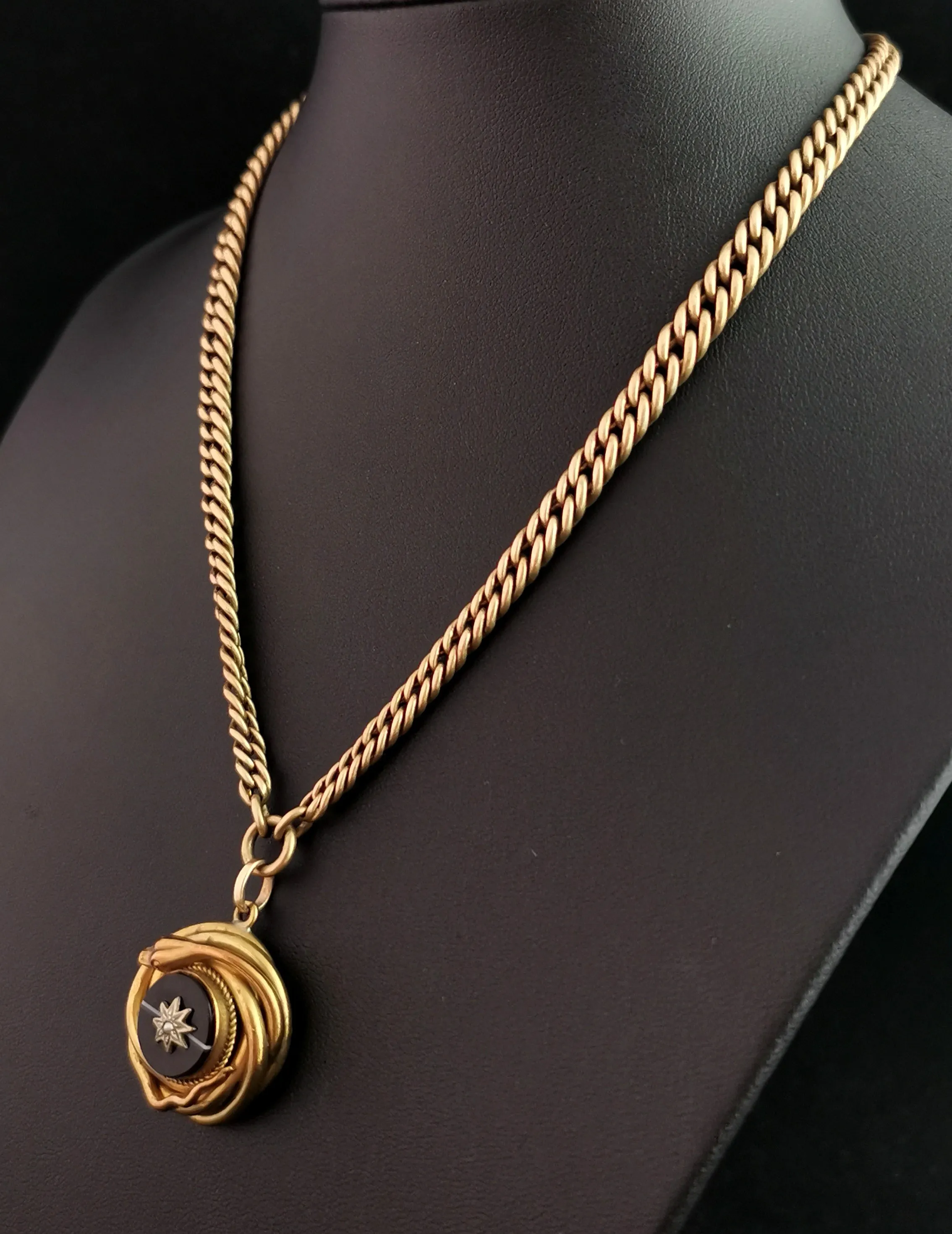 Victorian Agate snake pendant, Pinchbeck Albert chain, necklace