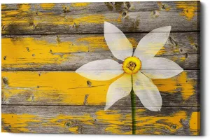'Wood Series: A Rustic Paradise' Canvas Wall Art, 12" x 18"