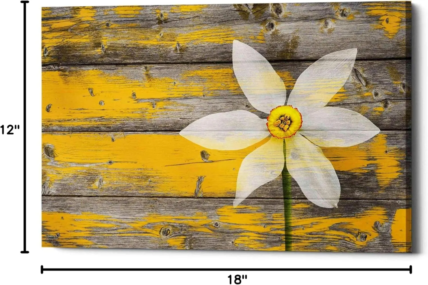 'Wood Series: A Rustic Paradise' Canvas Wall Art, 12" x 18"