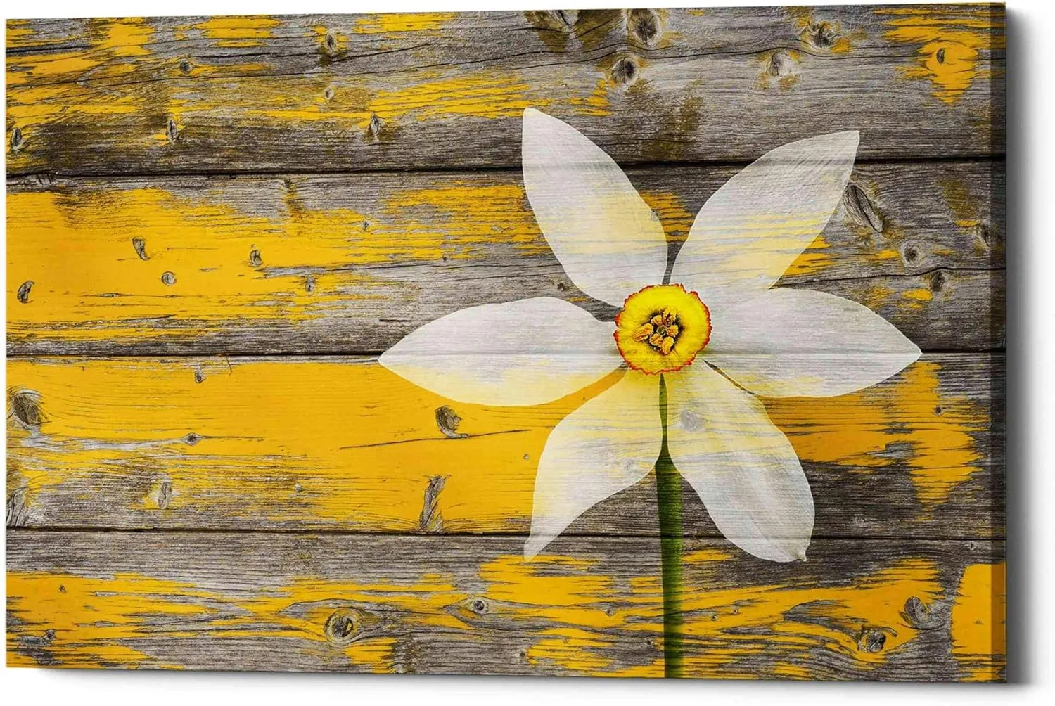 'Wood Series: A Rustic Paradise' Canvas Wall Art, 12" x 18"